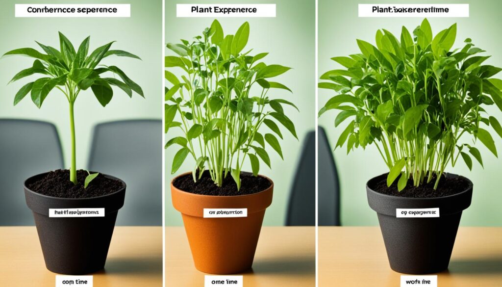jak liczyć staż pracy na 1/2 etatu
